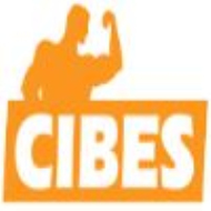 瑞典CIBES电梯公司